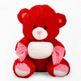 Stuffed Love Teddy Bear Gift - Red - test-store-for-chase-value