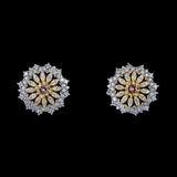 American Diamond Ear Tops - Golden & Silver - test-store-for-chase-value