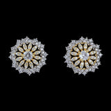 American Diamond Ear Tops - Silver & Golden - test-store-for-chase-value