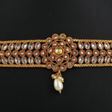 Polki Choker Jewellery Set - Golden - test-store-for-chase-value