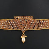 Polki Choker Jewellery Set - Multi - test-store-for-chase-value