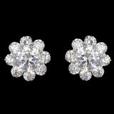 Women's Fancy Ear Tops - Silver - test-store-for-chase-value