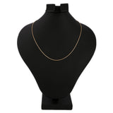 Women's Fancy Plain Chain - Golden - test-store-for-chase-value