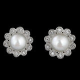 Women's Fancy Ear Tops - Silver - test-store-for-chase-value