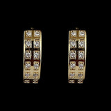 Women's Fancy Earrings - Golden - test-store-for-chase-value