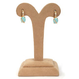 Women's Earring - Blue, Women, Earrings & Tops, Chase Value, Chase Value