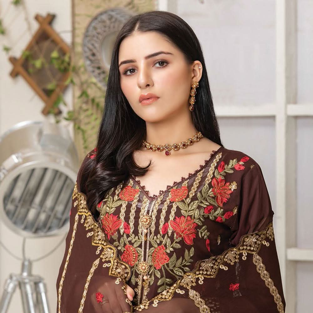 Luxury Embroidered Chiffon Semi-Stitched Suit - AY-2748, Women, 3Pcs Shalwar Suit, Rana Arts, Chase Value