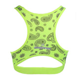 Women's Sports Bra (Z88) - Green, Women, Bras, Chase Value, Chase Value