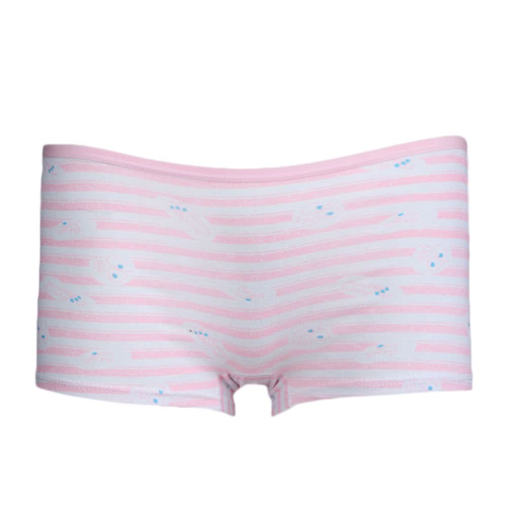 Women's Fancy Boxer (UA-381) - Pink, Undergarments, Chase Value, Chase Value