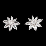 Women's Fancy Ear Tops - Silver, Women, Earrings & Tops, Chase Value, Chase Value