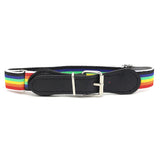 Kids stich able Belt - Multi, Kids, Belts And Gallace, Chase Value, Chase Value