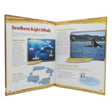 General Knowledge Protecting Australian Wildlife - Mamals, Kids, Kids Educational Books, 9 to 12 Years, Chase Value