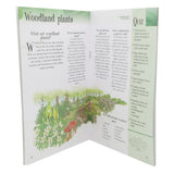 General Knowledge Questions & Answers Plant Kingdom, Kids, Kids Educational Books, 6 to 9 Years, Chase Value
