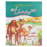 Hazrat Soleha A.S, Kids, Kids Story Books, 6 to 9 Years, Chase Value