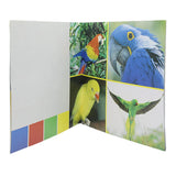 Learning Meray Itnay Sary Rung, Kids, Kids Educational Books, 3 to 6 Years, Chase Value