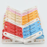 Clothes Hanging Clips - Multi, Home & Lifestyle, Accessories, Chase Value, Chase Value
