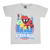 Boys Half Sleeves Jersey T-Shirt 4136 - Light Grey, Kids, Boys T-Shirts, Chase Value, Chase Value