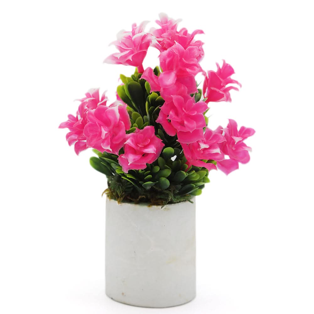 Bonsai Mini Flower Pot - E, Home & Lifestyle, Decoration, Chase Value, Chase Value