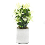 Bonsai Mini Flower Pot - A, Home & Lifestyle, Decoration, Chase Value, Chase Value