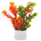 Bonsai Mini Flower Pot - K, Home & Lifestyle, Decoration, Chase Value, Chase Value