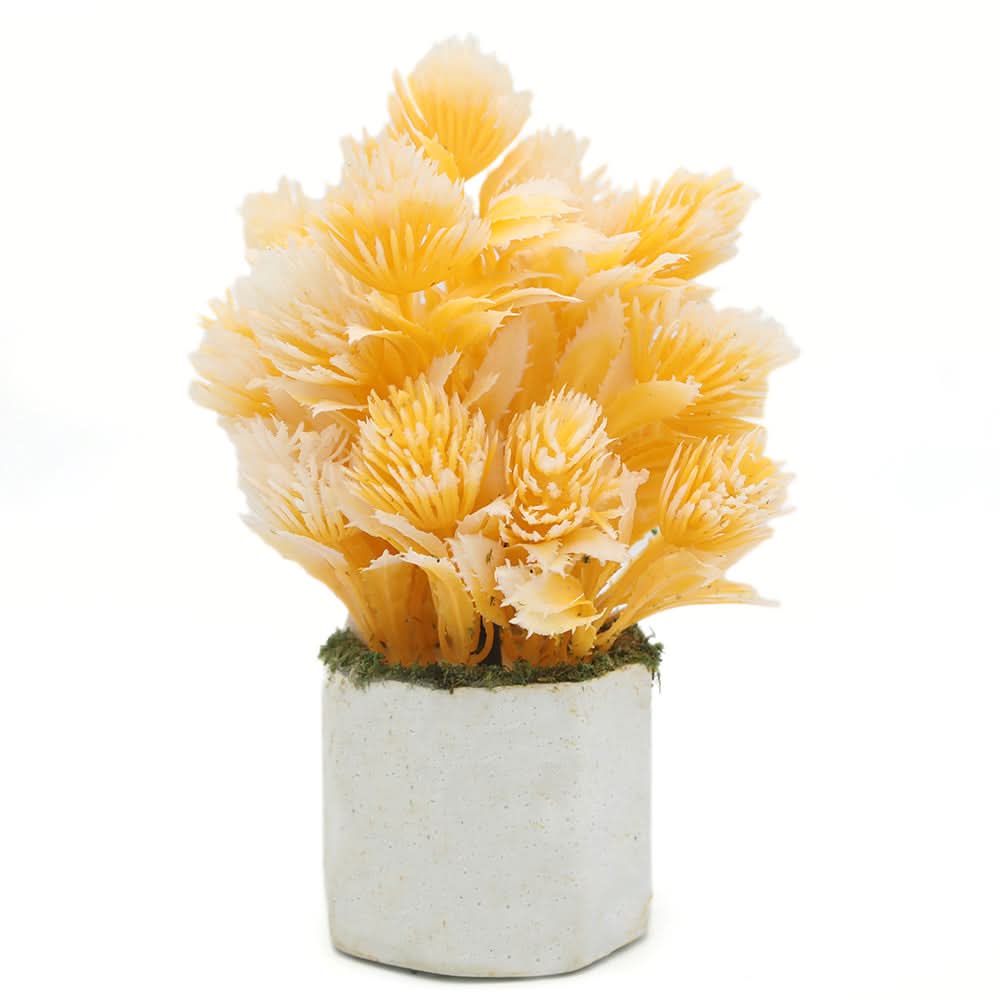 Bonsai Mini Flower Pot - I, Home & Lifestyle, Decoration, Chase Value, Chase Value