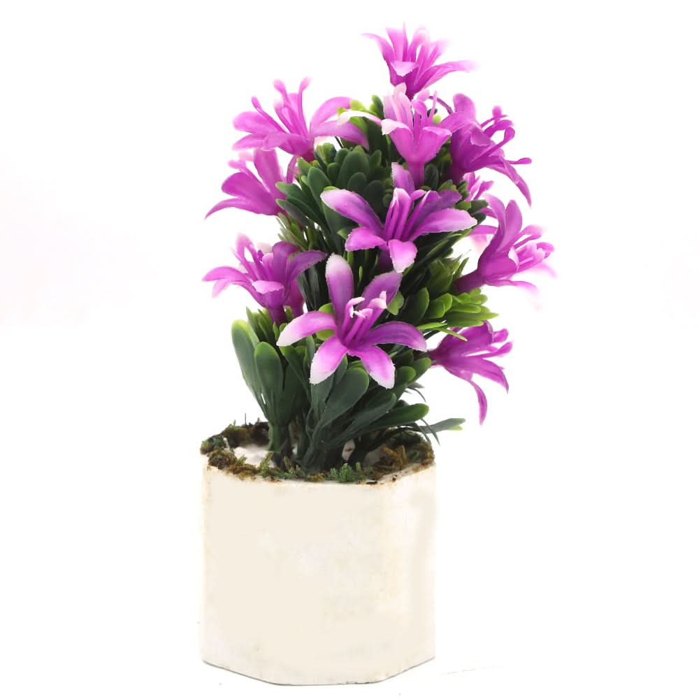 Bonsai Mini Flower Pot - F, Home & Lifestyle, Decoration, Chase Value, Chase Value