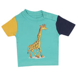 Eminent Newborn Boys T-Shirt - Green, Kids, Newborn Boys Shirts And T-Shirts, Eminent, Chase Value