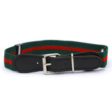 Kids Stretchable Belt - Multi, Kids, Belts And Gallace, Chase Value, Chase Value