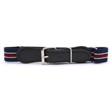 Kids Stretchable Belt - Multi, Kids, Belts And Gallace, Chase Value, Chase Value