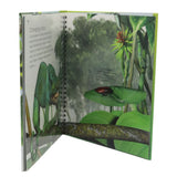 Look inside Jungles, Kids, Kids Story Books, Chase Value, Chase Value