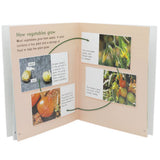 Animals And Plants Learning Books - Multi, Kids, Kids Colouring Books, Chase Value, Chase Value