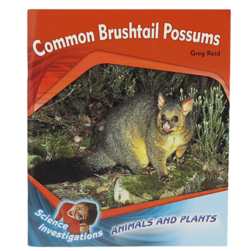 Animals And Plants Learning Books - Multi, Kids, Kids Colouring Books, Chase Value, Chase Value