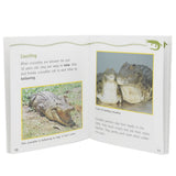 Animals And Plants Learning Books - Multi, Kids, Kids Colouring Books, Chase Value, Chase Value