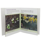 Animals And Plants Learning Books - Multi, Kids, Kids Colouring Books, Chase Value, Chase Value