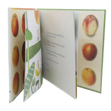 The Last Peach, Kids, Kids Story Books, Chase Value, Chase Value