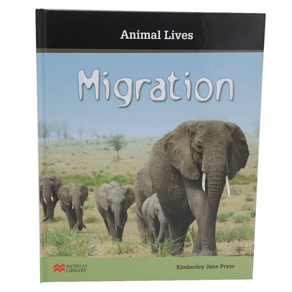 Animal Lives Migration, Kids, Kids Story Books, Chase Value, Chase Value