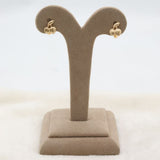 Women's Ear Bali - Golden, Women, Earrings & Tops, Chase Value, Chase Value