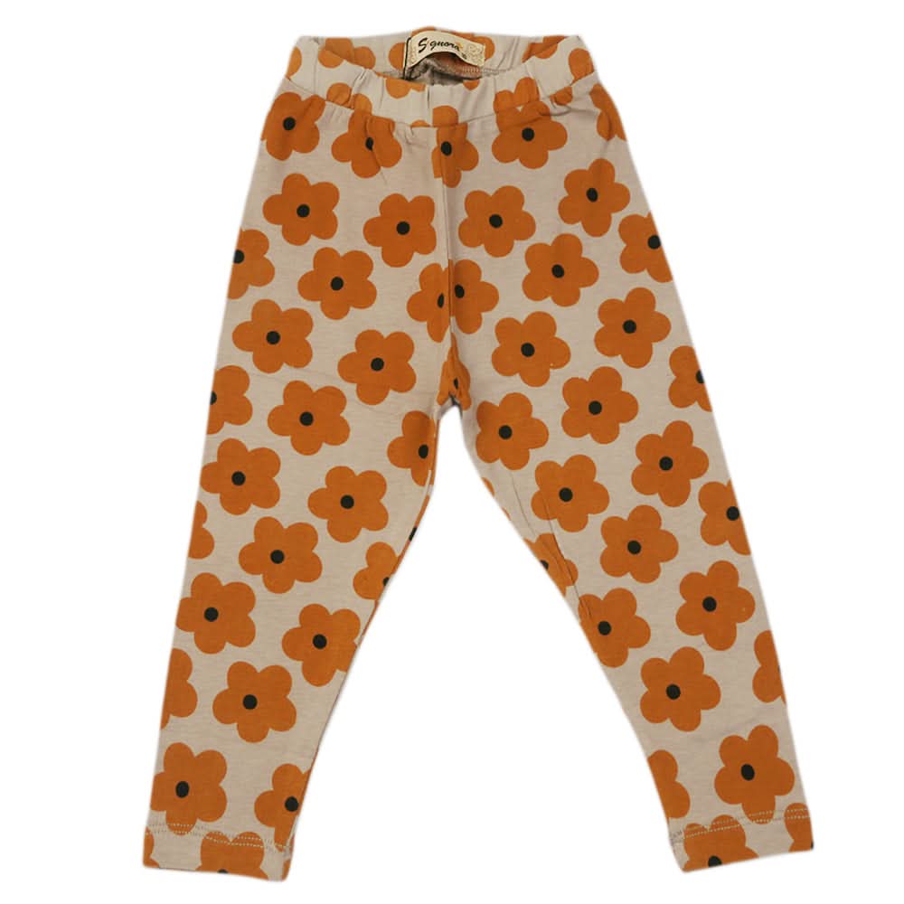 Girls Tight - Brown, Girls Tights Leggings & Pajama, Chase Value, Chase Value