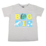 Boys Half Sleeves T-Shirt 3993 - Grey, Kids, Boys T-Shirts, Chase Value, Chase Value