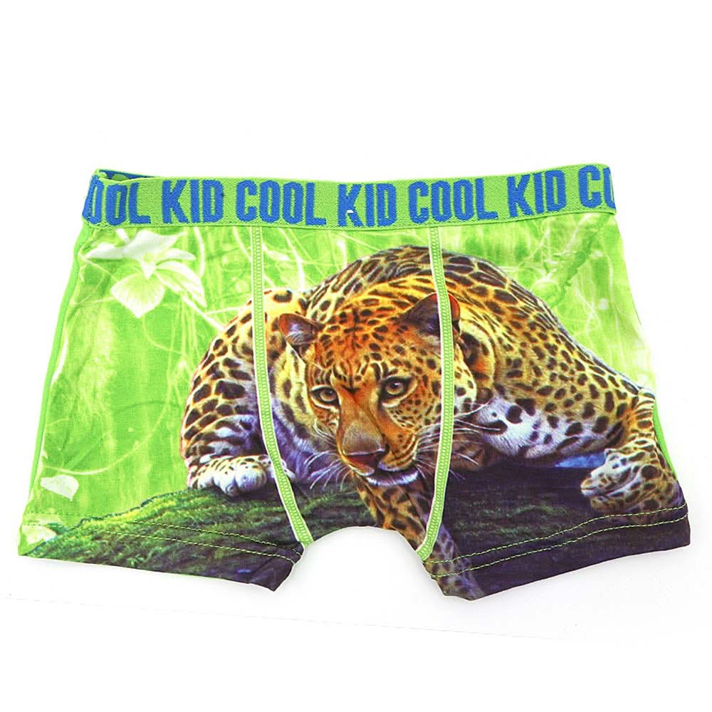 Boys Boxer (RA281) - Green, Kids, Boys Underwear, Chase Value, Chase Value