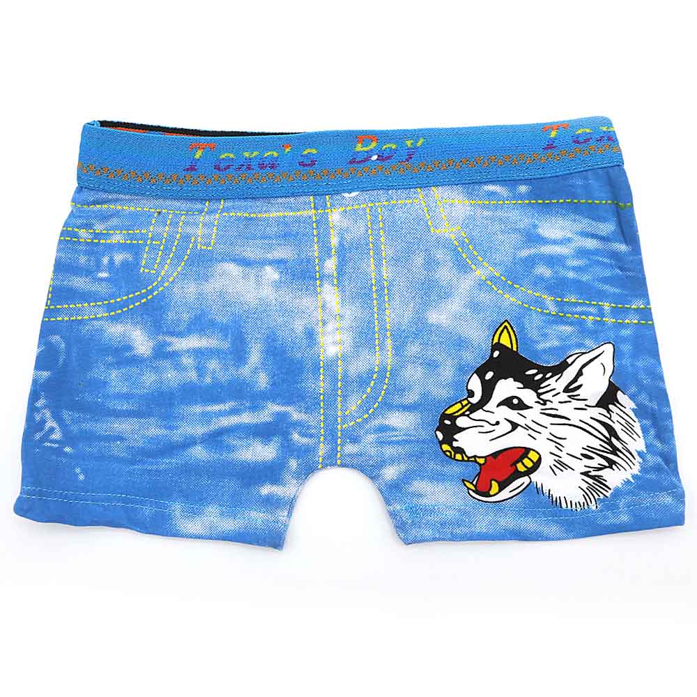 Boys Boxer (RA281) - Blue, Kids, Boys Underwear, Chase Value, Chase Value