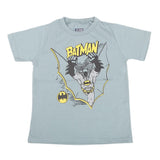 Boys Printed Half Sleeves T-Shirt 4733 - Steel Grey, Kids, Boys T-Shirts, Chase Value, Chase Value