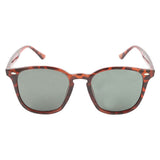 Men's Sunglasses - Brown, Men's Sunglasses, Chase Value, Chase Value