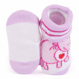 Newborn Booties - Purple, Kids, NB Shoes And Socks, Chase Value, Chase Value