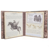 Story Monsterology - Working With Monsters, Kids, Kids Story Books, 9 to 12 Years, Chase Value