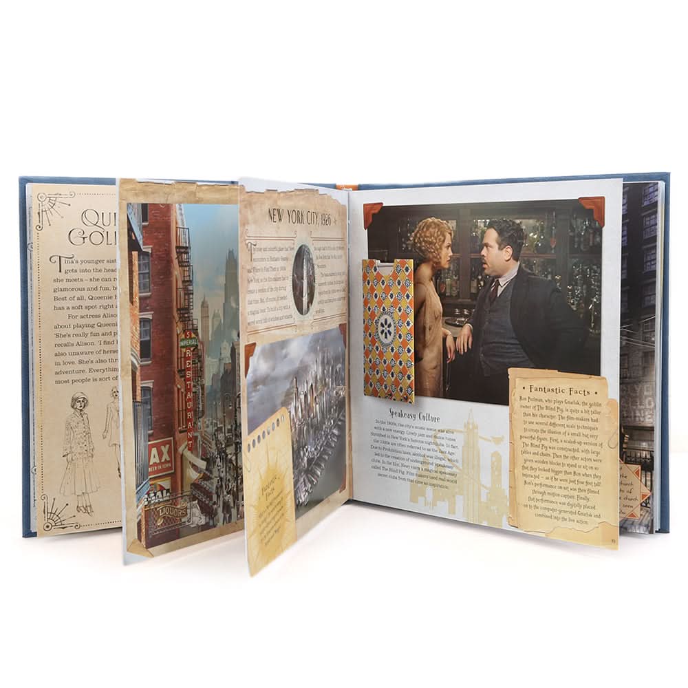 Interactive Newt Scamander, Kids, Kids Story Books, 6 to 9 Years, Chase Value