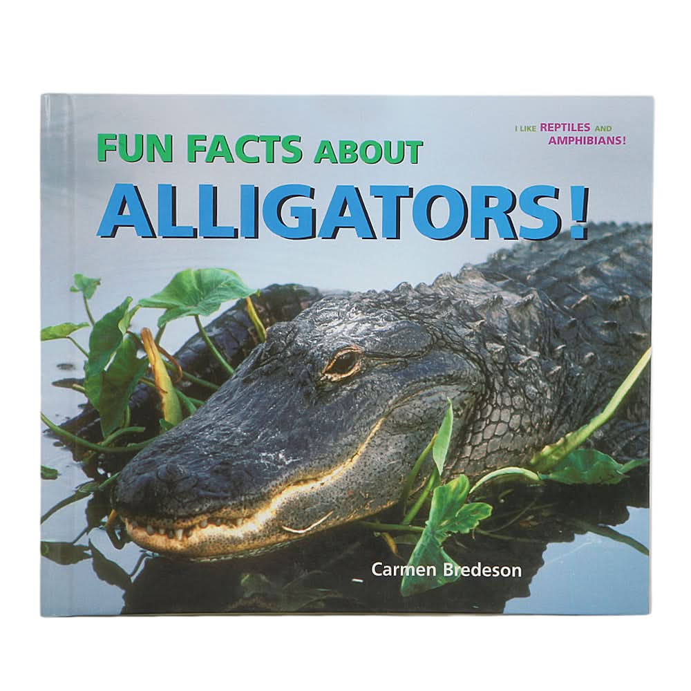 Learning Fun Facts About Alligators!, Kids, Kids Educational Books, 3 to 6 Years, Chase Value