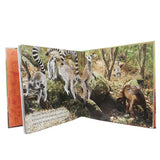 General Knowledge Animal Planet Lemur, Kids, Kids Educational Books, 9 to 12 Years, Chase Value