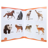 Write & Wipe - Animals & Birds, Kids, Kids Educational Books, 3 to 6 Years, Chase Value