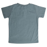 Boys Printed Half Sleeves T-Shirt 4728 - Grey, Kids, Boys T-Shirts, Chase Value, Chase Value